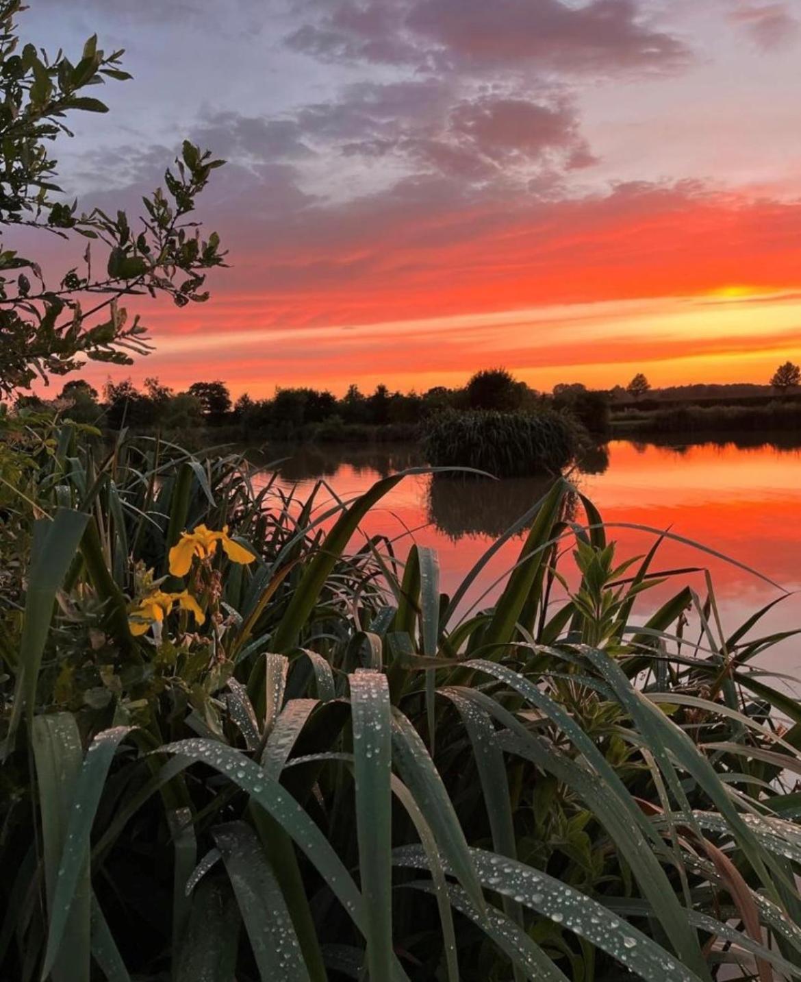 New Farm Cheshire Holidays Winsford  Bagian luar foto